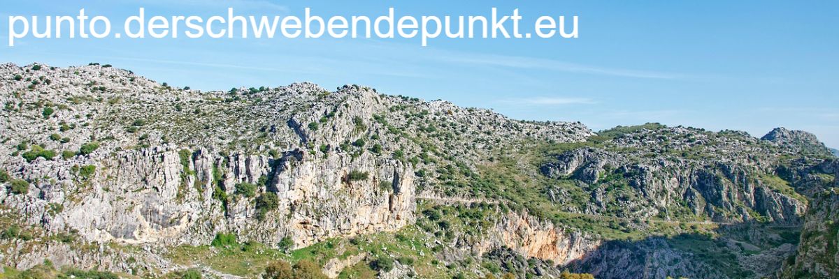 punto.derschwebendepunkt.eu